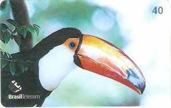 DF-454 - Tucano-Toco