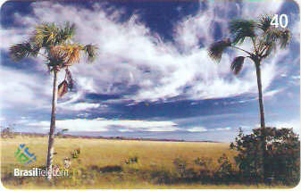 DF-476 - Buriti