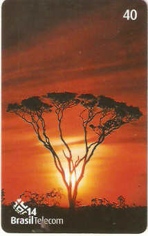 DF-491 - Pôr do Sol no Cerrado