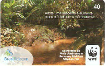DF-525 - WWF Brasil - 40