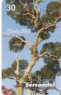 SERC-061M - Peroba Rosa - 1A