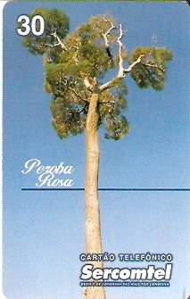 SERC-062M - Peroba Rosa - 1B