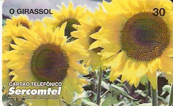 SERC-073M - O Girassol