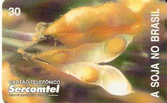 SERC-075M - A Soja no Brasil