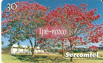 SERC-076 - Ipê-roxo