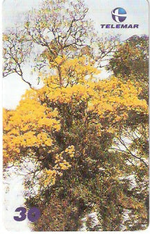 AP-159 - Ipês - 1/2