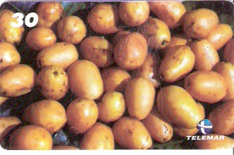 AP-077 - Taperebá