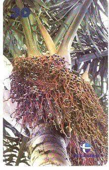 AP-163 - Bacabeira