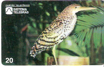 AM-014 - Socó-Boi