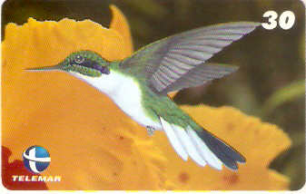 ES-053M - Beija-flores 1 - 2/4