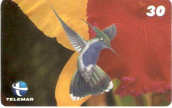 ES-054M - Beija-flores 1 - 3/4