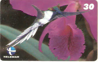 ES-077 - Beija-flores 4 - 3/4