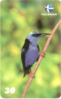 ES-105 - Fauna - 07/20