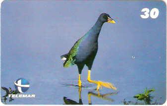 ES-107 - Fauna - 09/20