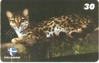 ES-111 - Fauna - 13/20