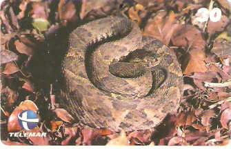 ES-113 - Fauna - 15/20