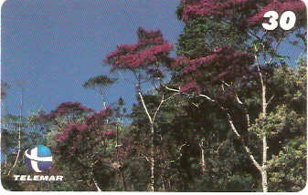 ES-120 - Paisagismo - 02/20