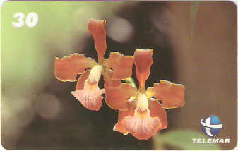 ES-150 - Flora - 02/10