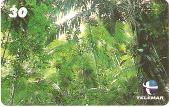 ES-153 - Flora - 05/10