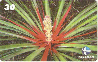 ES-157 - Flora - 07/10