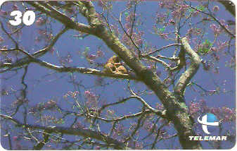 ES-160 - Flora - 10/10