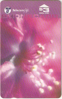 FIJ-110 - Flores - 1