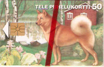 FIN-D-070 - Cachorro