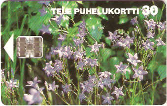 FIN-D-078 - Flores