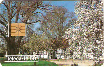 FRA-0466C - Primavera