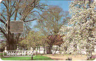 FRA-0466Da - Primavera