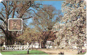 FRA-0466 - Primavera