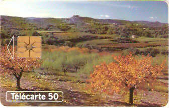 FRA-0512C - Outono