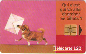 FRA-0930 - Cachorro