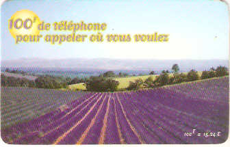 FRA-P-149 - Plantação