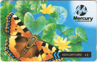 GBM-434F - Borboleta - A Forma Justa