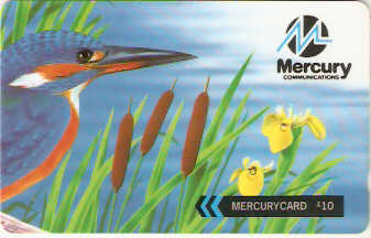 GBM-436B - Martim Pescador - one2one