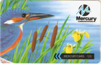 GBM-436D - Martim Pescador - Cobramos em Penny