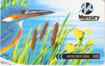 GBM-436 - Martim Pescador