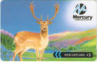 GBM-568B - Veado - Para Melhor Comunicação