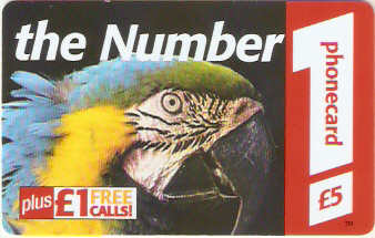 GBP-PRE-TN1-03Ca - Arara