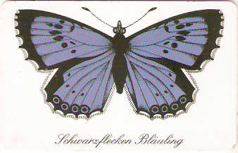 GER98PD16 - Borboleta 4