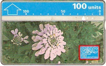 GIB-021 - Flor