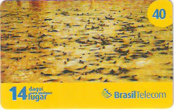 GO08-12 - Criatório Natural