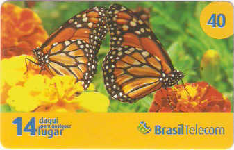 GOC08-04 - Borboletas