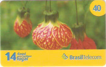 GOC08-52 - Primavera - 2