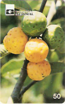 GO-027 - Mama-Cadela