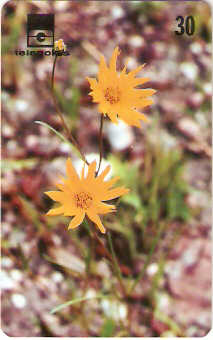 GO-210 - Margaridinha do Campo