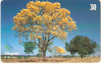 GO-274 - Ipoê do Cerrado