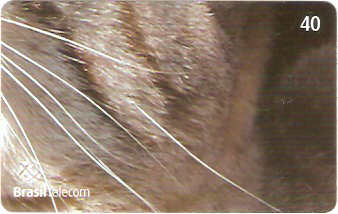 GO-752 - Gato - 4/4