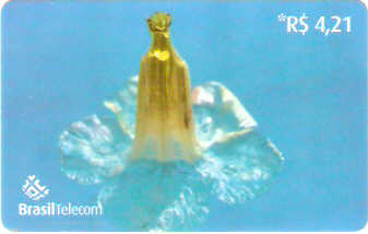 GO-801 - N. Sra. Aparecida - R$ 4,21